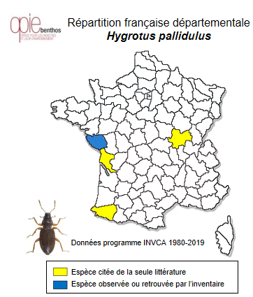 Carte de distribution de Hygrotus pallidulus (Aubé, 1850)