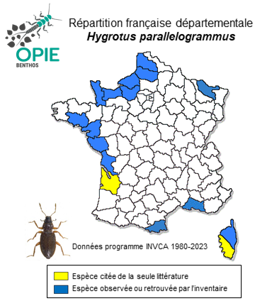 Carte de distribution de Hygrotus parallelogrammus (Ahrens, 1812)