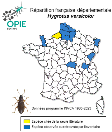 Carte de distribution de Hygrotus versicolor (Schaller, 1783)
