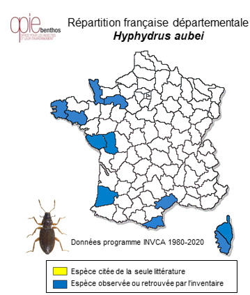 Carte de distribution de Hyphydrus aubei Ganglbauer, 1892