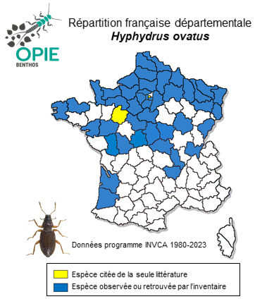 Carte de distribution de Hyphydrus ovatus (Linnaeus, 1761)