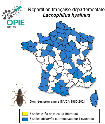 Carte de distribution de Laccophilus hyalinus (DeGeer, 1774)