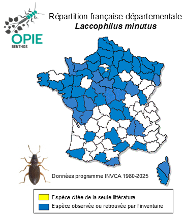 Carte de distribution de Laccophilus minutus (Linnaeus, 1758)