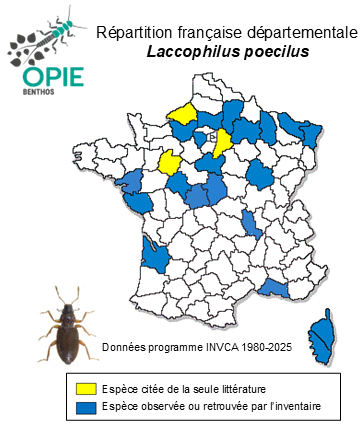 Carte de distribution de Laccophilus poecilus Klug, 1834
