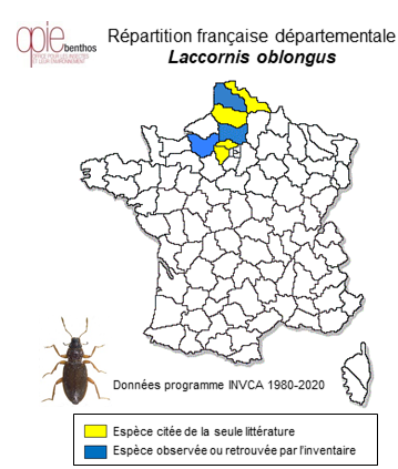 Carte de distribution de Laccornis oblongus (Stephens, 1835)