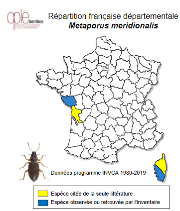 Carte de distribution de Metaporus meridionalis (Aubé, 1838)