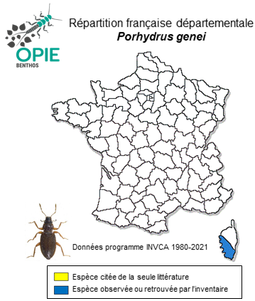 Carte de distribution de Porhydrus genei (Aubé, 1838)