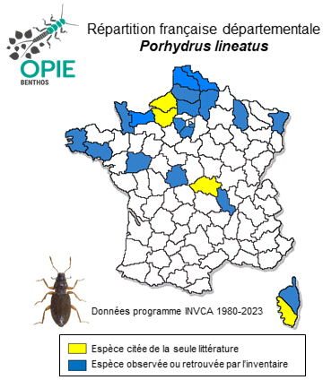 Carte de distribution de Porhydrus lineatus (Fabricius, 1775)