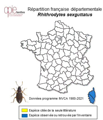 Carte de distribution de Rhithrodytes sexguttatus (Aubé, 1838)