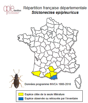 Carte de distribution de Stictonectes epipleuricus (Seidlitz, 1887)