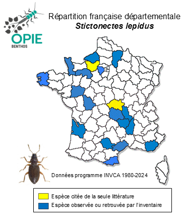 Carte de distribution de Stictonectes lepidus (Olivier, 1795)