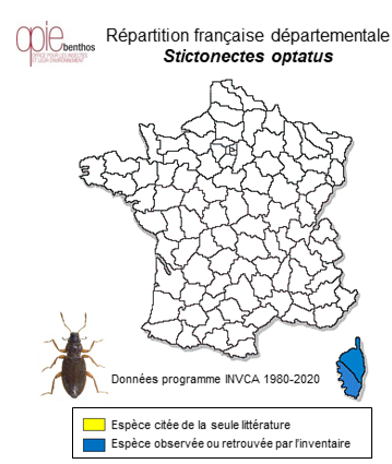 Carte de distribution de Stictonectes optatus (Seidlitz, 1887)