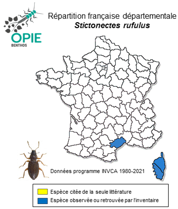 Carte de distribution de Stictonectes rufulus (Aubé, 1838)