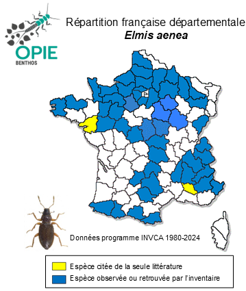 Carte de distribution de Elmis aenea P. W. J. Müller, 1806