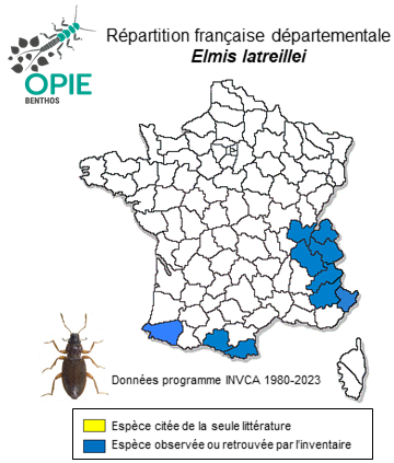 Carte de distribution de Elmis latreillei Bedel, 1878