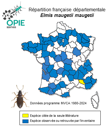 Carte de distribution de Elmis maugetii maugetii Latreille, 1798