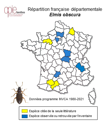 Carte de distribution de Elmis obscura P. W. J. Müller