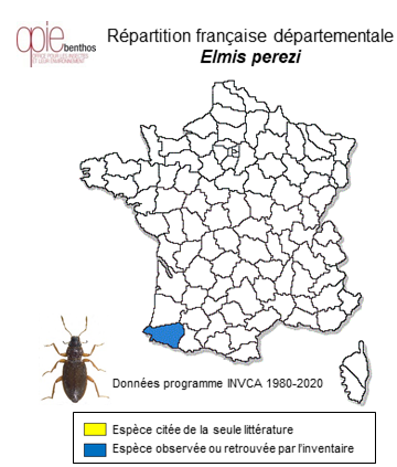 Carte de distribution de Elmis perezi Heyden, 1870