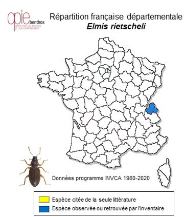 Carte de distribution de Elmis rietscheli Steffan, 1958