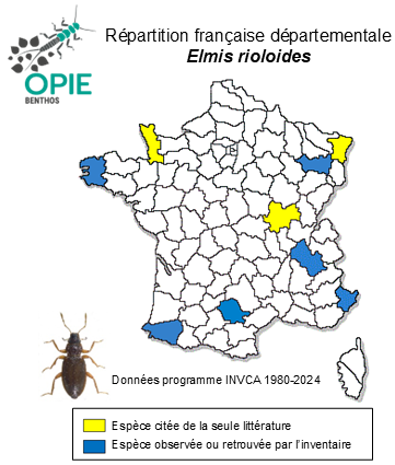 Carte de distribution de Elmis rioloides (Kuwert, 1890)