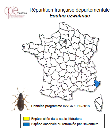 Carte de distribution de Esolus czwalinae Kuwert, 1889
