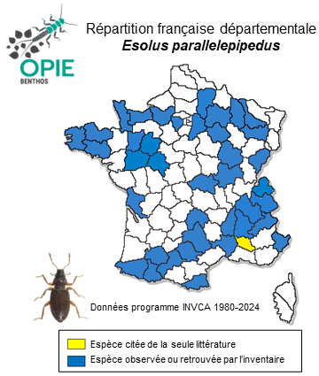 Carte de distribution de Esolus parallelepipedus (P. W. J. Müller, 1806)