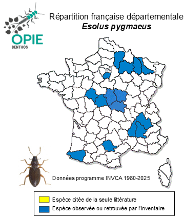 Carte de distribution de Esolus pygmaeus P. W. J. Müller, 1806