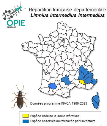 Carte de distribution de Limnius intermedius intermedius Fairmaire, 1881
