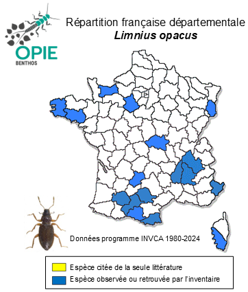 Carte de distribution de Limnius opacus P. W. J. Müller, 1806