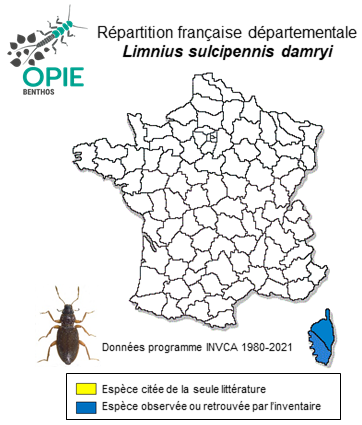 Carte de distribution de Limnius sulcipennis damryi Fairmaire, 1881