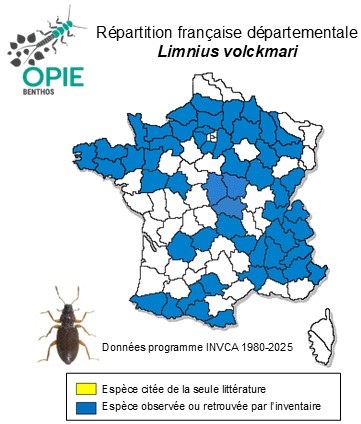 Carte de distribution de Limnius volckmari (Panzer, 1793)