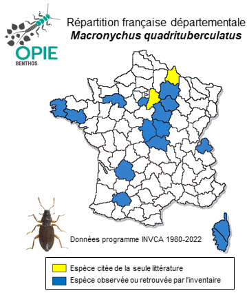 Carte de distribution de Macronychus quadrituberculatus P. W. J. Müller, 1806