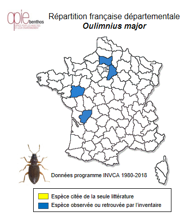 Carte de distribution de Oulimnius major (Rey, 1889)
