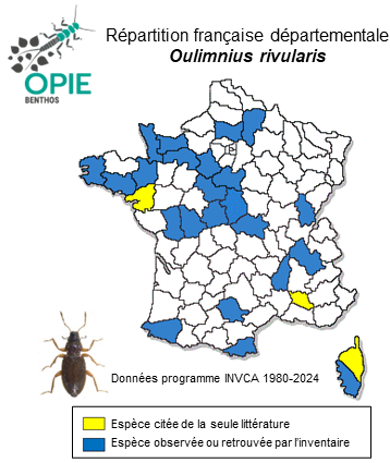 Carte de distribution de Oulimnius rivularis (Rosenhauer, 1856)