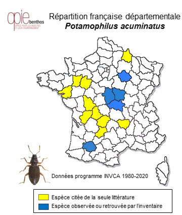 Carte de distribution de Potamophilus acuminatus (Fabricius, 1792)
