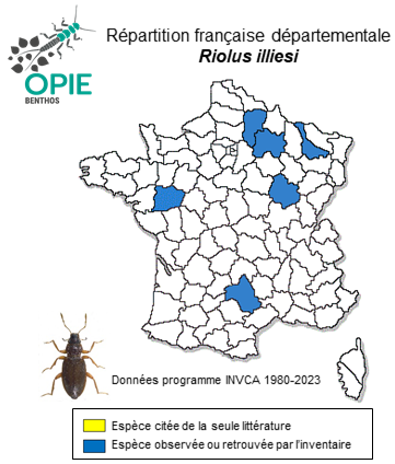 Carte de distribution de Riolus illiesi Steffan, 1958