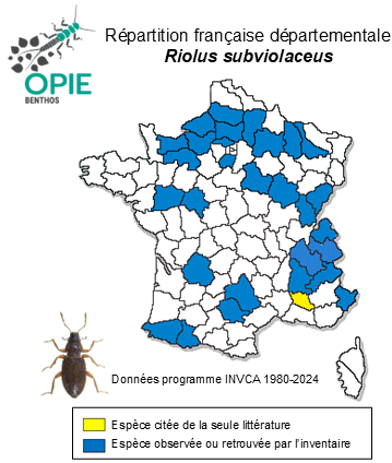 Carte de distribution de Riolus subviolaceus (P. W. J. Müller, 1817)