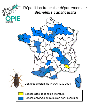 Carte de distribution de Stenelmis canaliculata (Gyllenhal, 1808)