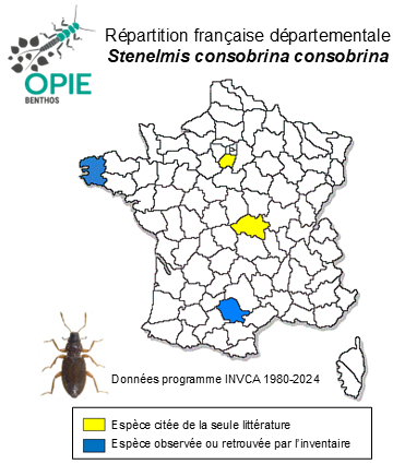 Carte de distribution de Stenelmis consobrina consobrina Dufour, 1835