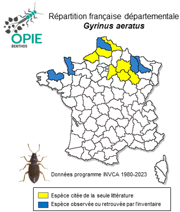 Carte de distribution de Gyrinus aeratus Stephens, 1835