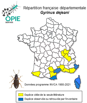 Carte de distribution de Gyrinus dejeani Brullé, 1832
