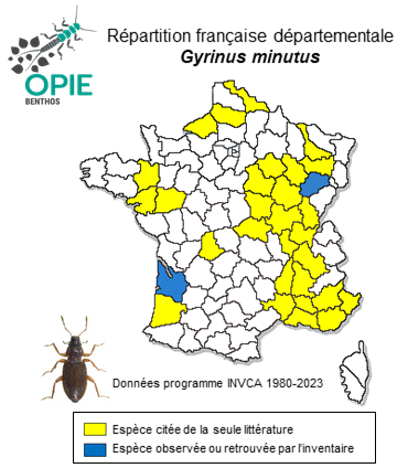 Carte de distribution de Gyrinus minutus Fabricius, 1798