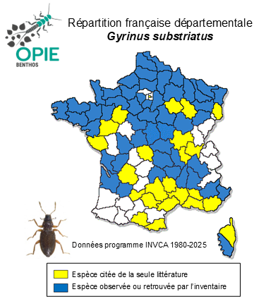 Carte de distribution de Gyrinus substriatus Stephens, 1828