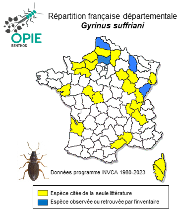 Carte de distribution de Gyrinus suffriani Scriba, 1855