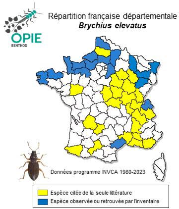 Carte de distribution de Brychius elevatus (Panzer, 1793)