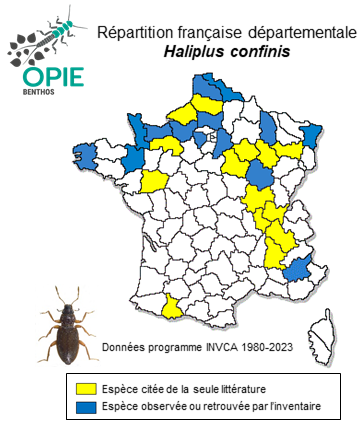 Carte de distribution de Haliplus confinis Stephens, 1828