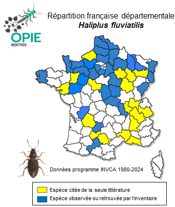 Carte de distribution de Haliplus fluviatilis Aubé, 1836