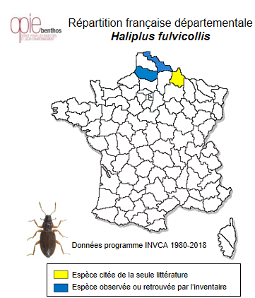 Carte de distribution de Haliplus fulvicollis Erichson, 1837