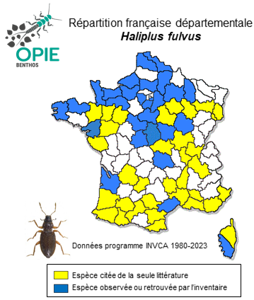 Carte de distribution de Haliplus fulvus (Fabricius, 1801)
