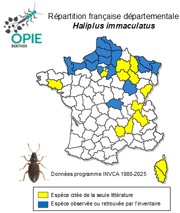 Carte de distribution de Haliplus immaculatus Gerhardt, 1877